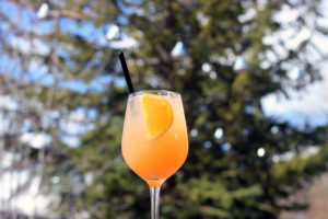 Windy Ridge Mimosa