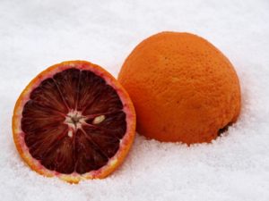blood orange snow
