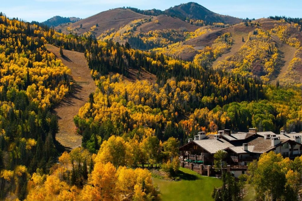 Stein Lodge