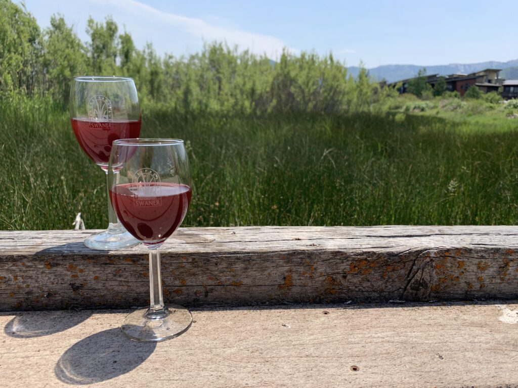 Swaner Preserve - Wine in the Willows