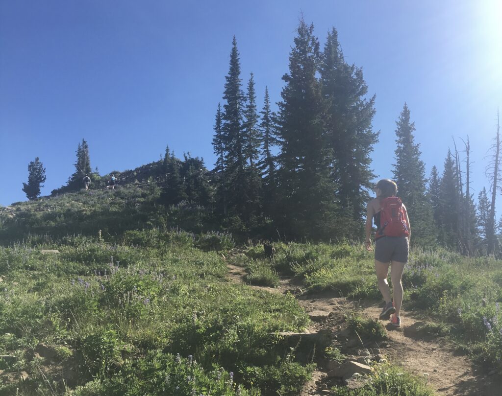 hike