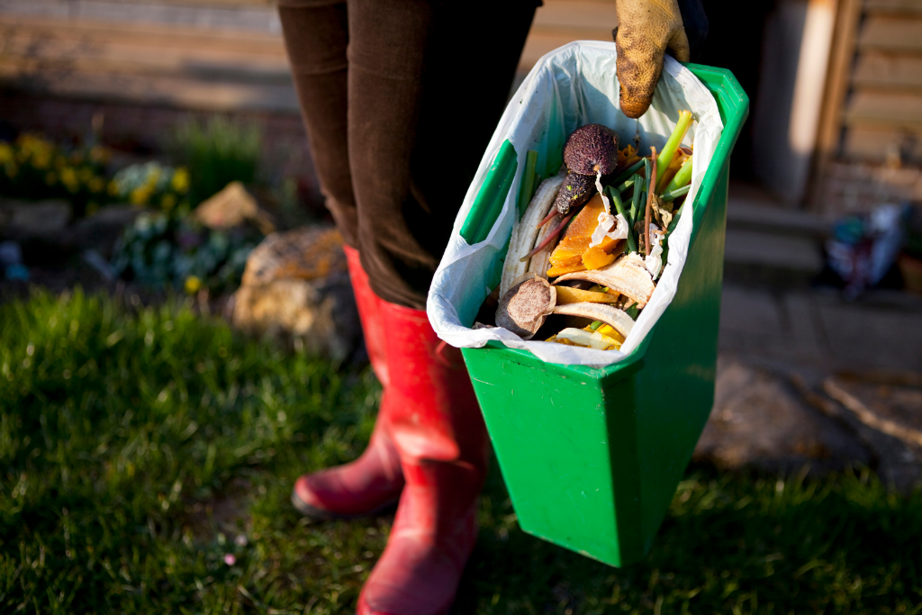 Food Waste Collection Program