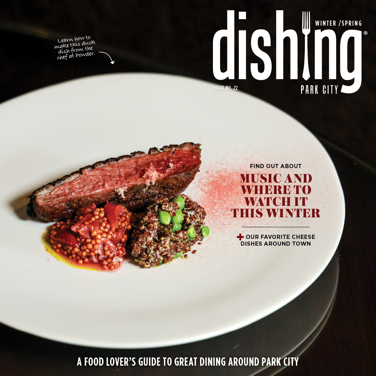 DISHINGPC.issue22.FC