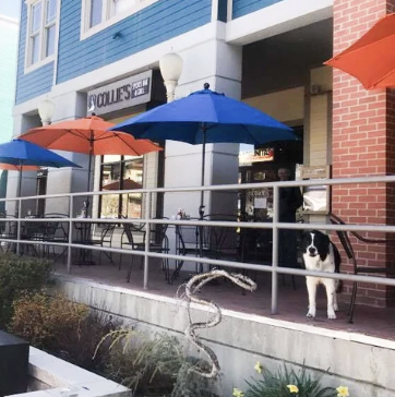 Collie’s Sports Bar & Grill