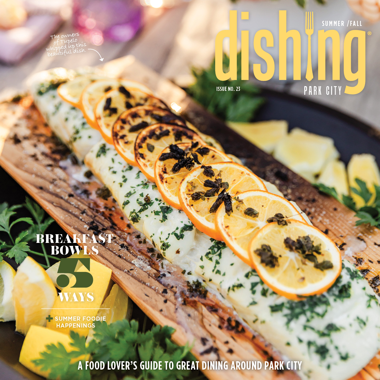 DISHINGPC.issue23.FC